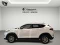 Hyundai TUCSON 1.7 crdi Comfort Plus Pack 2wd 115cv Blanc - thumbnail 8