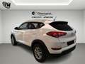 Hyundai TUCSON 1.7 crdi Comfort Plus Pack 2wd 115cv Blanc - thumbnail 7