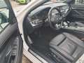BMW 550 5 Limousine M550 d xDrive*Harman/Kardon* Weiß - thumbnail 14