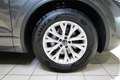Volkswagen Touareg 3.0TDI Elegance Allradlenkung Pano Stdhz Luft Rkam Grau - thumbnail 28