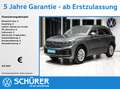 Volkswagen Touareg 3.0TDI Elegance Allradlenkung Pano Stdhz Luft Rkam Grau - thumbnail 1