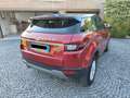 Land Rover Range Rover Evoque 5p 2.0 td4 SE 150cv auto Rood - thumbnail 11