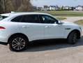Jaguar F-Pace F-Pace 20d AWD Prestige Aut. Prestige Weiß - thumbnail 5