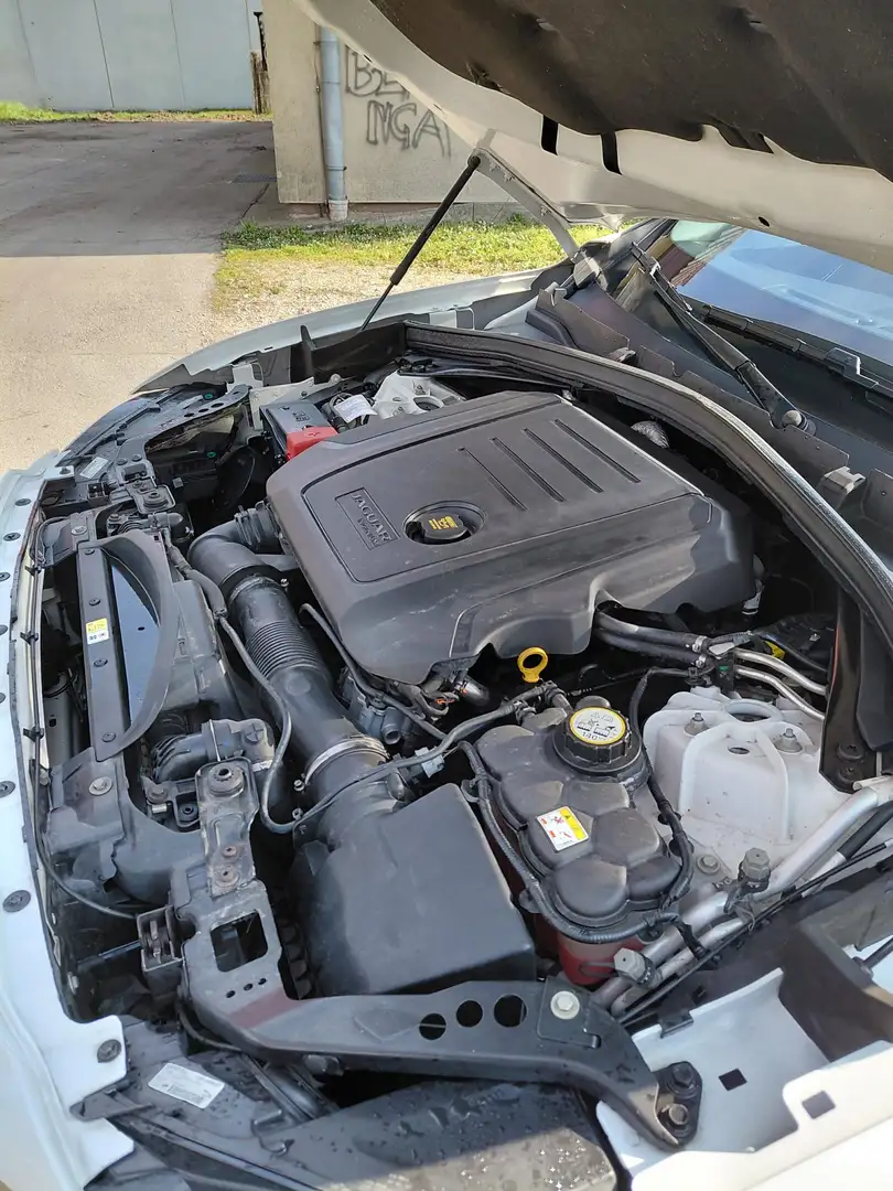 Jaguar F-Pace F-Pace 20d AWD Prestige Aut. Prestige Weiß - 2