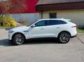 Jaguar F-Pace F-Pace 20d AWD Prestige Aut. Prestige Weiß - thumbnail 3