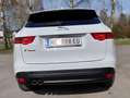 Jaguar F-Pace F-Pace 20d AWD Prestige Aut. Prestige Weiß - thumbnail 4