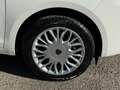 Lancia Ypsilon 1.2 69 CV 5p. Silver Bianco - thumbnail 7