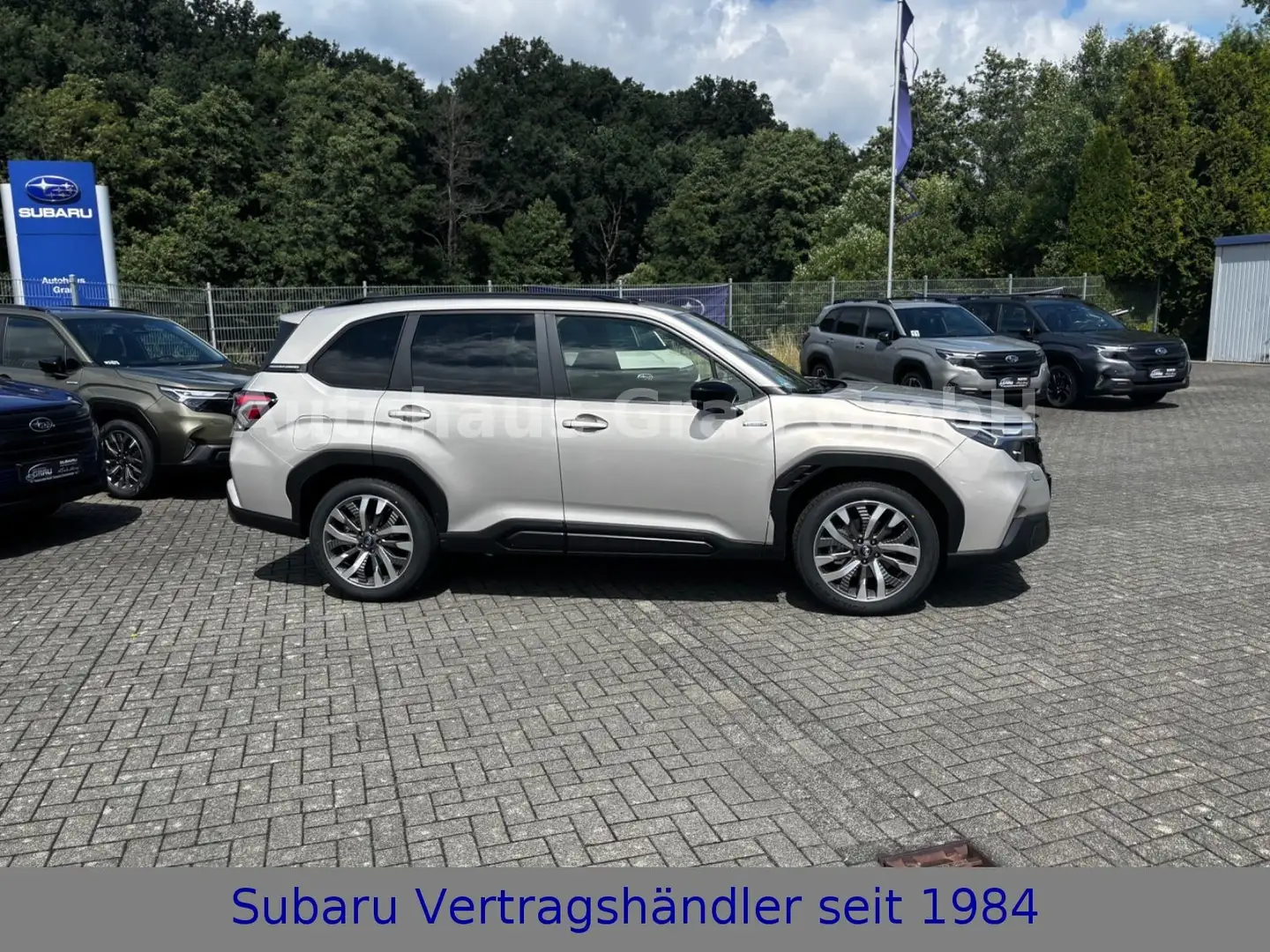 Subaru Forester 2.0 ie 100kW AWD Platinum Or - 2