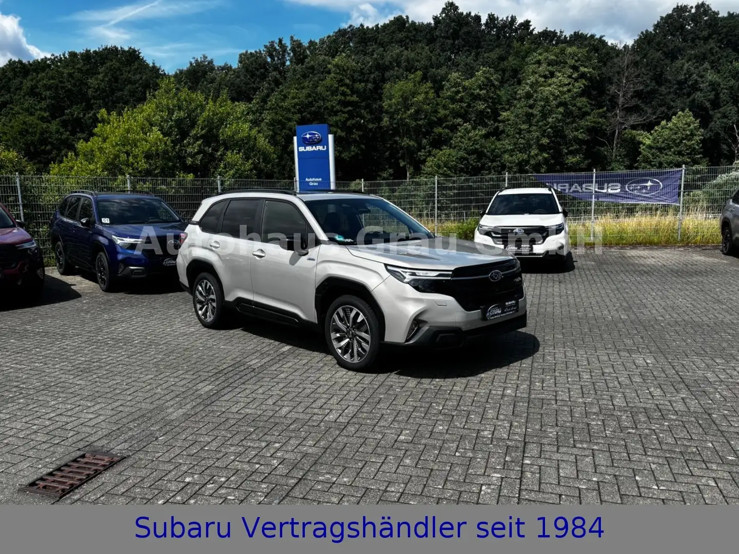 Subaru Forester 2.0 ie 100kW AWD Platinum Or - 1