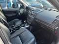 Land Rover Freelander HSE SD4 Beige - thumbnail 6