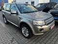 Land Rover Freelander HSE SD4 Beige - thumbnail 2