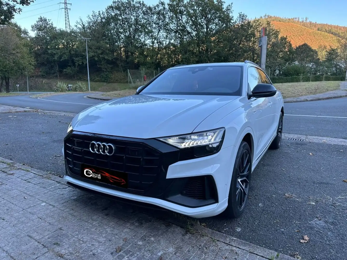 Audi Q8 S-line Weiß - 1