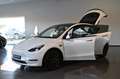 Tesla Model Y Performance Dual AWD Pano 21 Weiß - thumbnail 22