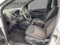Ford Ka/Ka+ KA+ 1.2 Ti-VCT Active AHK*LED*SHZ*SYNC*Facelift Weiß - thumbnail 7