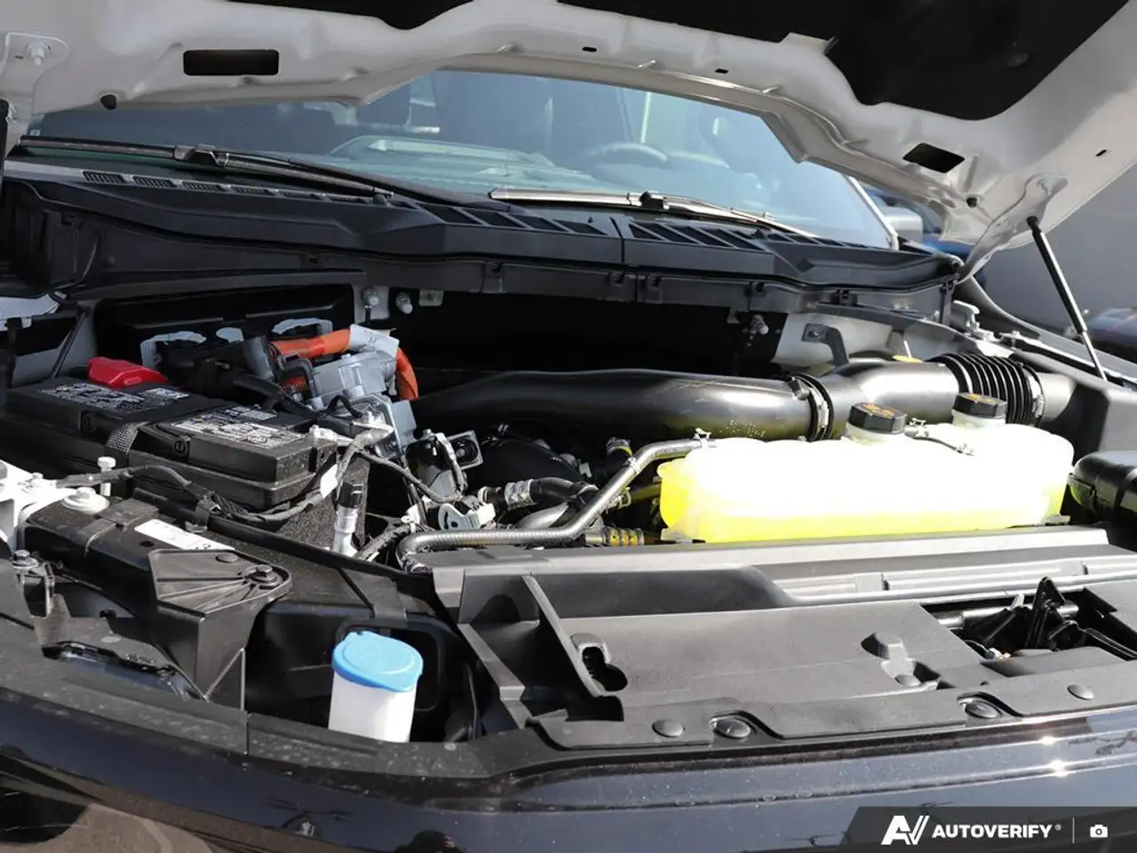 Ford F 150 fotografie Ford F 150