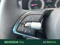 Skoda Kodiaq 2.0 tdi evo style 4x4 dsg Brun - thumbnail 12