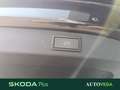 Skoda Kodiaq 2.0 tdi evo style 4x4 dsg Braun - thumbnail 24