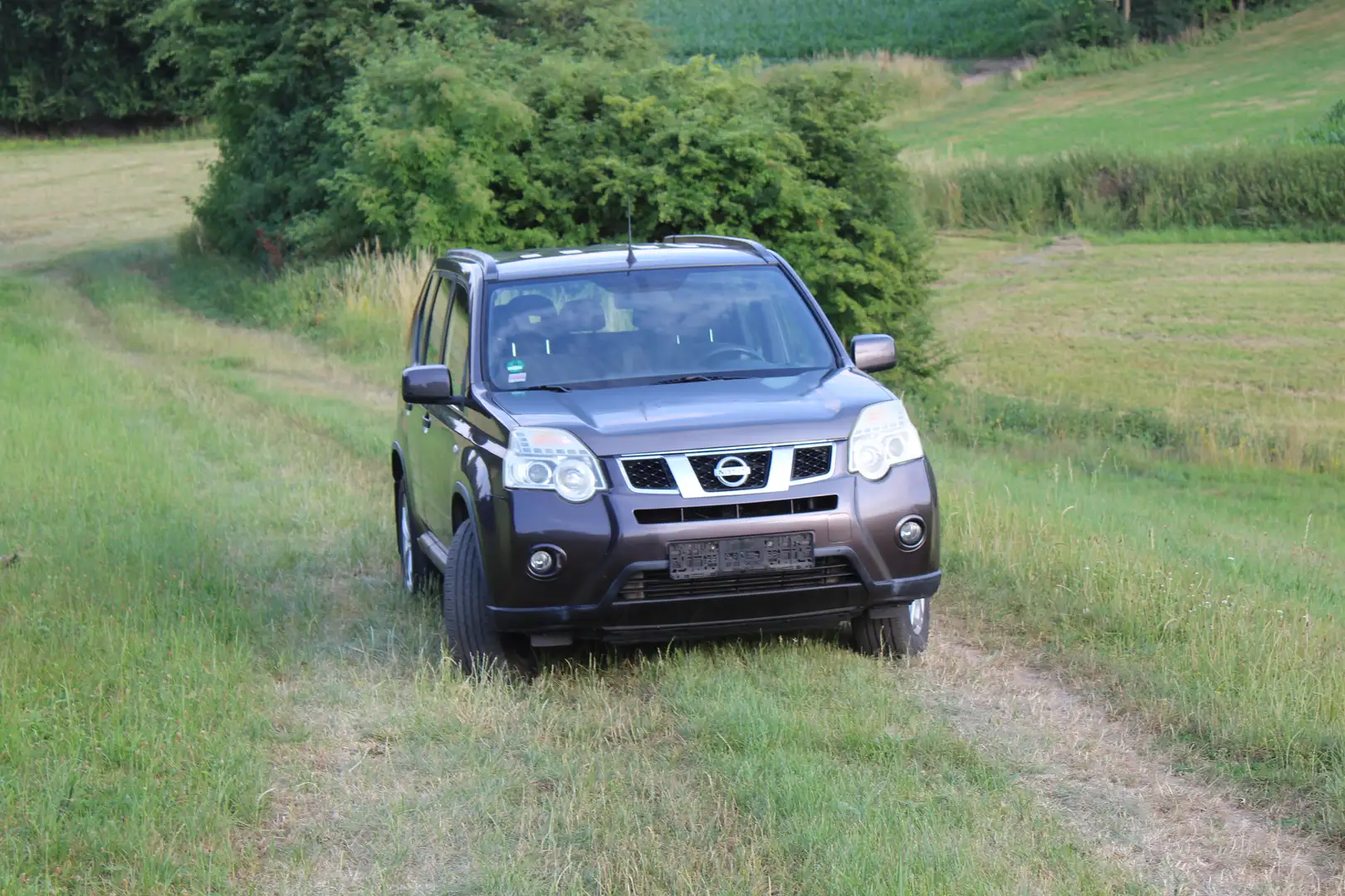Nissan X-Trail X-Trail 2.0 dci 4x4 DPF XE Braun - 2