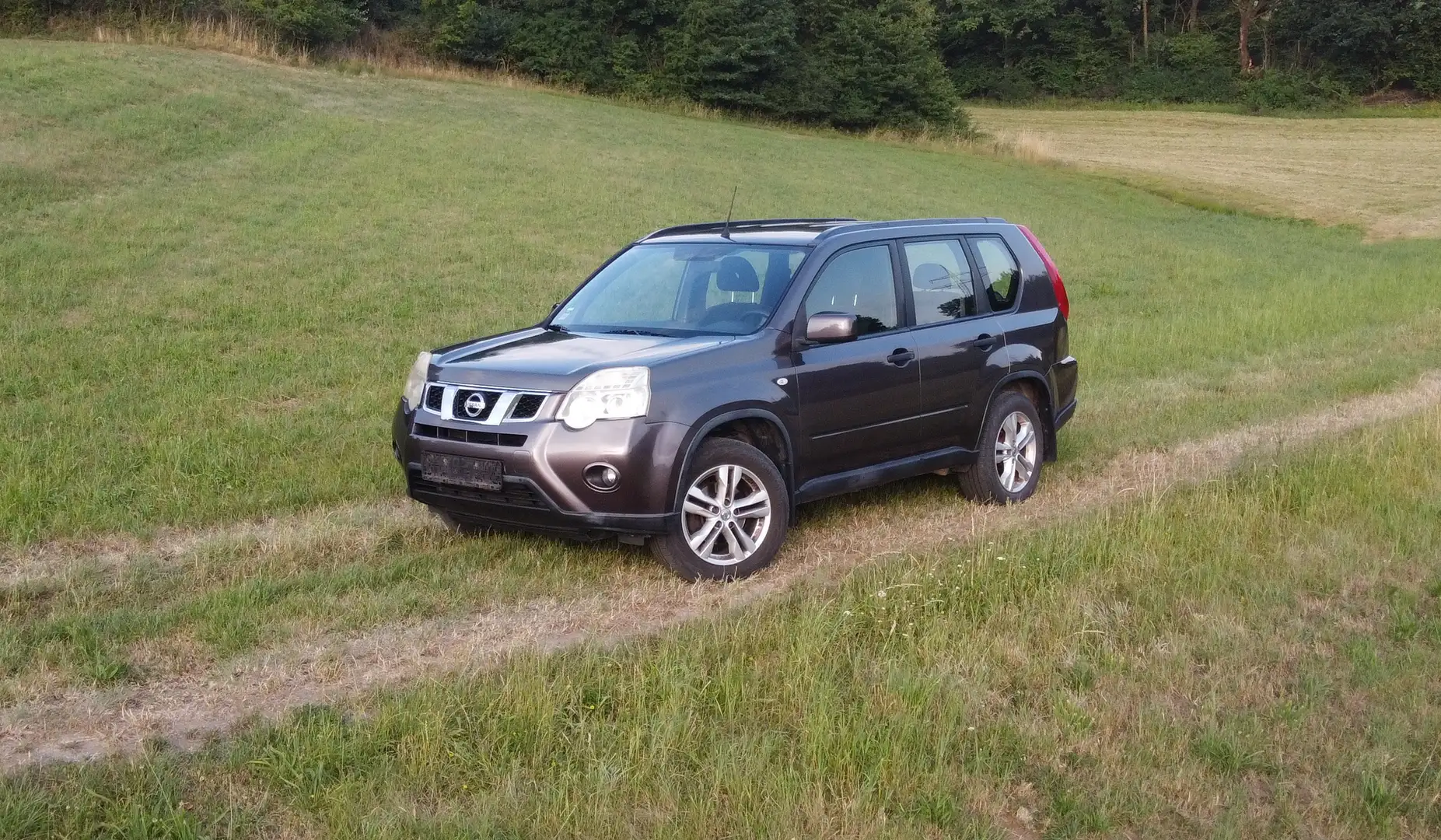 Nissan X-Trail X-Trail 2.0 dci 4x4 DPF XE Braun - 1