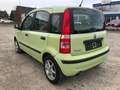 Fiat Panda 1.2 8V Dynamic Servo Zentralverriegelung Verde - thumbnail 7