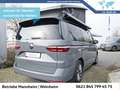 Volkswagen Beach 2.0 TSI 7-Gang-DSG AHK Standhei Gris - thumbnail 3