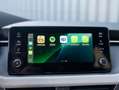 Skoda Kamiq 1.0 TSI Business Edition | Keyless | Stoelverwarmi Gris - thumbnail 12