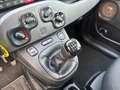 Fiat Panda 1.0 FireFly 70cv S&S Hybrid City Life Blu/Azzurro - thumbnail 19