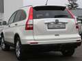 Honda CR-V Elegance Blanc - thumbnail 8