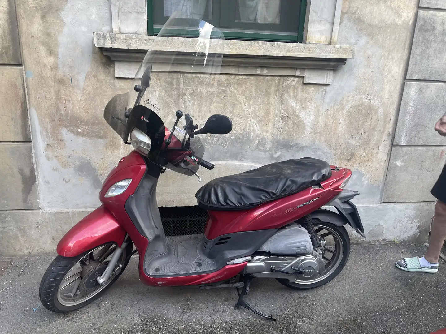 SYM rosso - 1