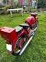 Moto Guzzi Lodola Gran Turismo - thumbnail 4