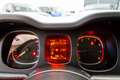 Fiat Panda 1.0 firefly hybrid City Life s/s-Ok neopatentati! Wit - thumbnail 7