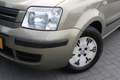 Fiat Panda 1.2 Edizione APK 7-26 Beige - thumbnail 4