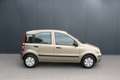 Fiat Panda 1.2 Edizione APK 7-26 Beige - thumbnail 2