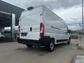 Toyota Proace Max 35 L3H2 2,2 ID 140 Prowork  AKTION Weiß - thumbnail 5
