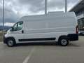 Toyota Proace Max 35 L3H2 2,2 ID 140 Prowork  AKTION Weiß - thumbnail 8