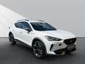 CUPRA Formentor 2.0 TSI VZ 4Drive*Navi*LED*Kessy*ACC* Weiß - thumbnail 3