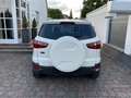 Ford EcoSport ECOSPORT 1.5 TDCi 1.HD TÜV 11.2025 unfallfrei Weiß - thumbnail 6