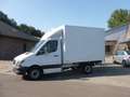 Mercedes-Benz Sprinter II 316CDI Kühlkoffer -29Grad Wit - thumbnail 4