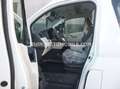 Toyota Hiace HIGH ROOF / TOIT HAUT - EXPORT OUT EU TROPICAL VER Alb - thumbnail 4