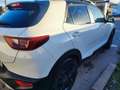 Kia Stonic 1.0 T-GDI OPF Vision - thumbnail 12