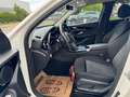 Mercedes-Benz GLC 200 d 4MATIC Aut. / 1BESITZ / ACC / LED / NAVI / RFK / Weiß - thumbnail 18