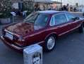 Jaguar Daimler V8 LWB Rot - thumbnail 12