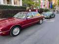Jaguar Daimler V8 LWB Rot - thumbnail 11