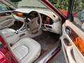 Jaguar Daimler V8 LWB Rot - thumbnail 5