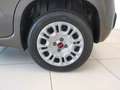 Fiat Panda Panda 1.2 EasyPower GPL KM0 Grijs - thumbnail 7