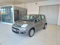 Fiat Panda Panda 1.2 EasyPower GPL KM0 Grijs - thumbnail 3