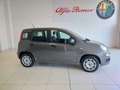 Fiat Panda Panda 1.2 EasyPower GPL KM0 Grijs - thumbnail 4