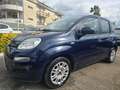 Fiat Panda 1.0 HYBRID 71CV Bleu - thumbnail 5