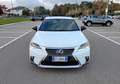 Lexus CT 200h CT Hybrid F Sport*Automatik*Navi*Pelle*Xenon*Camer Blanc - thumbnail 2