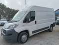 Fiat Ducato furgone 3000  CNG PM/TM Blanc - thumbnail 1